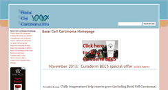 Desktop Screenshot of basalcellcarcinoma.info